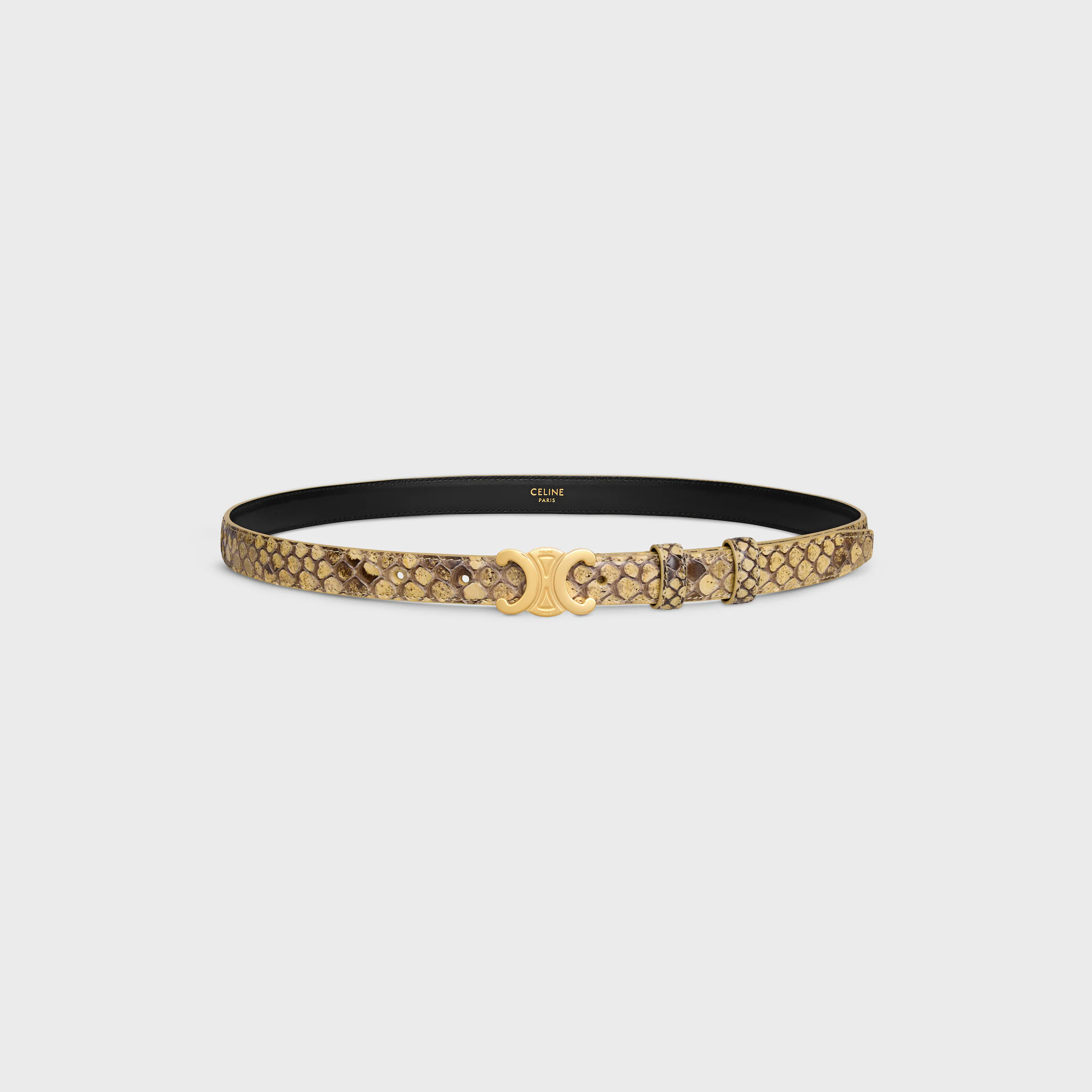 Triomphe Belt 18MM IN PYTHON