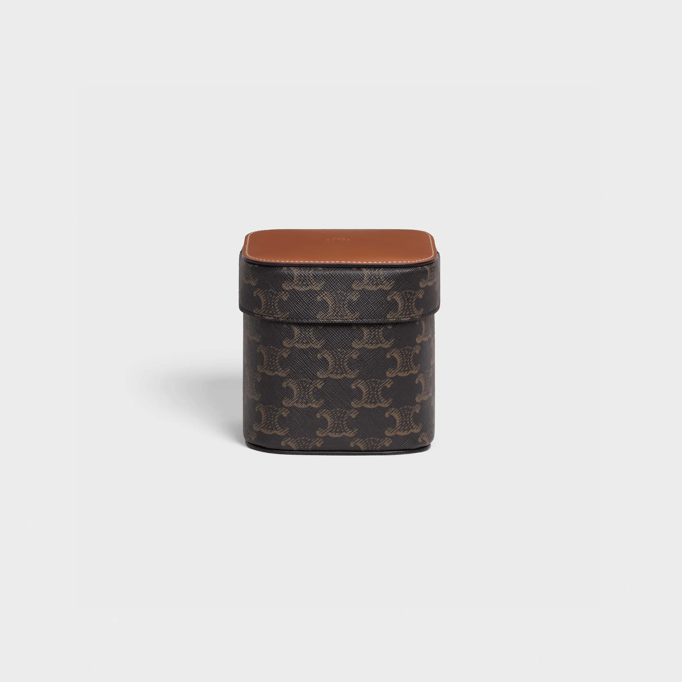 Small Box in Triomphe Canvas and Calfskin