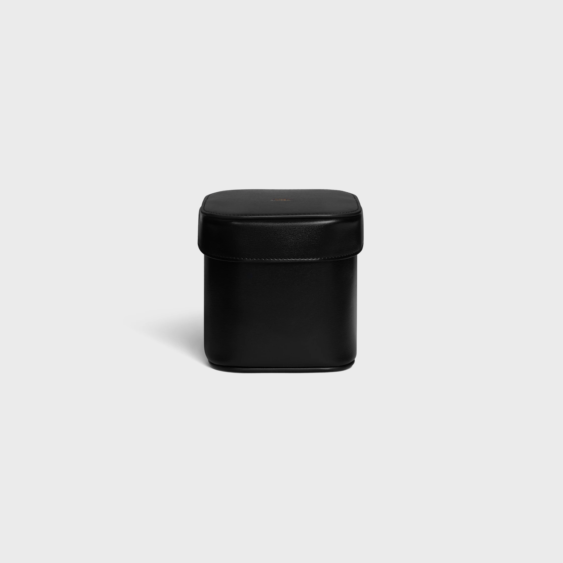Small Box in Shiny Calfskin