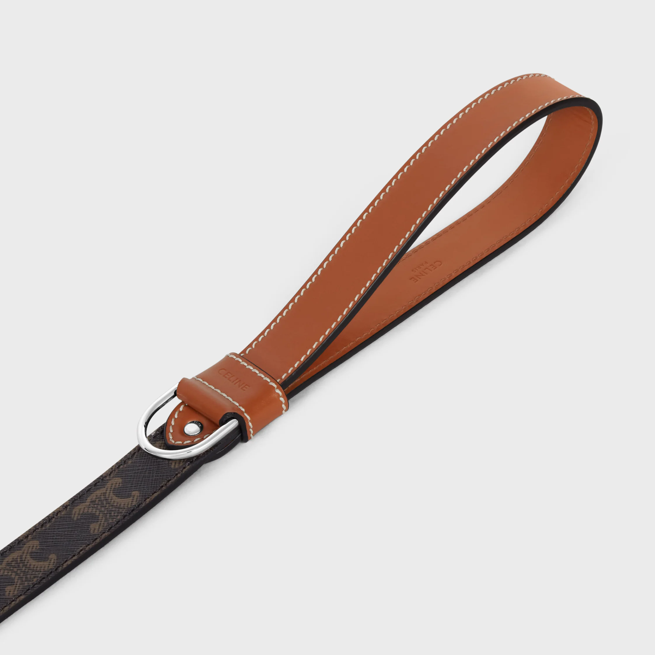 Wide Dog Leash in Triomphe Canvas and Calfskin