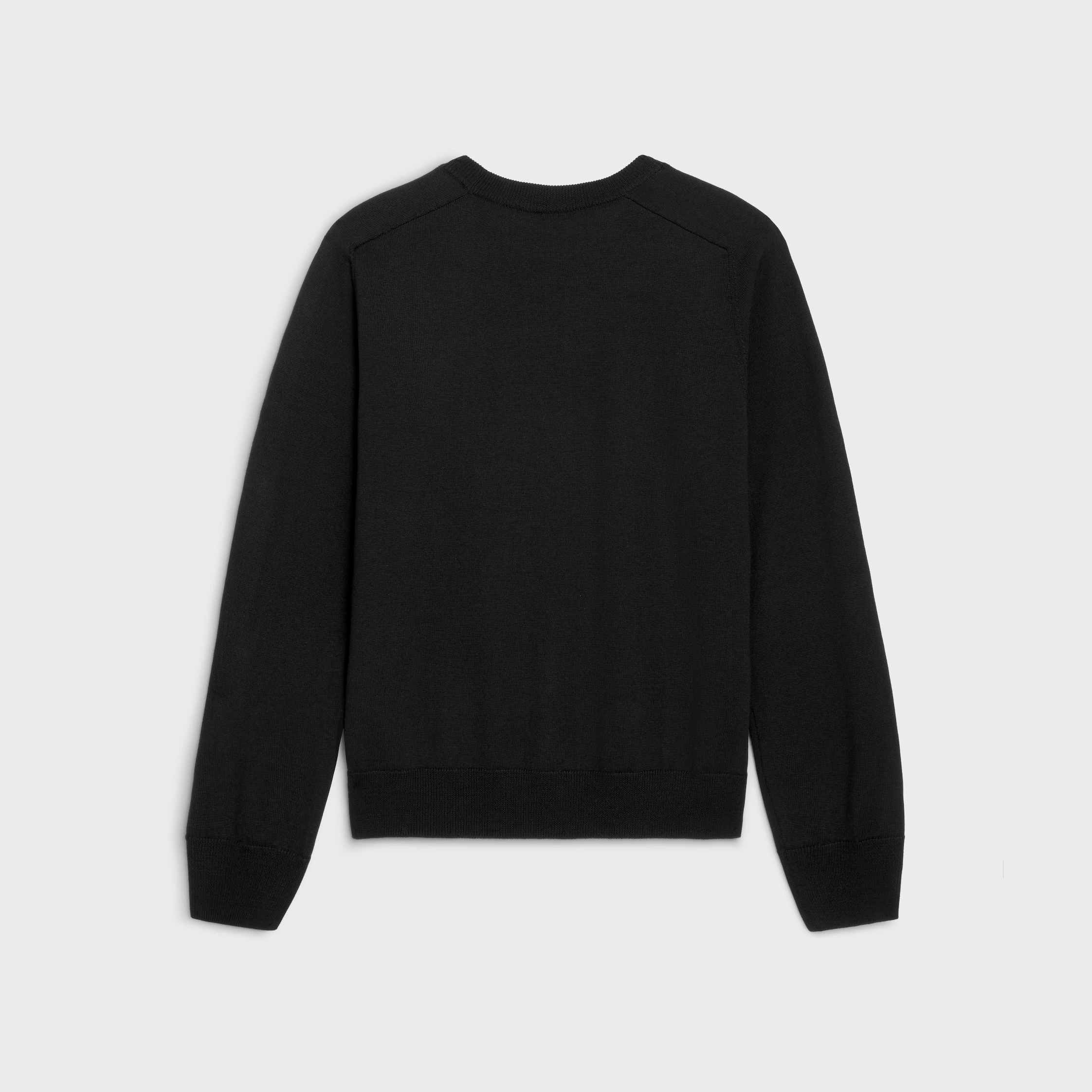 triomphe crew neck sweater in wool