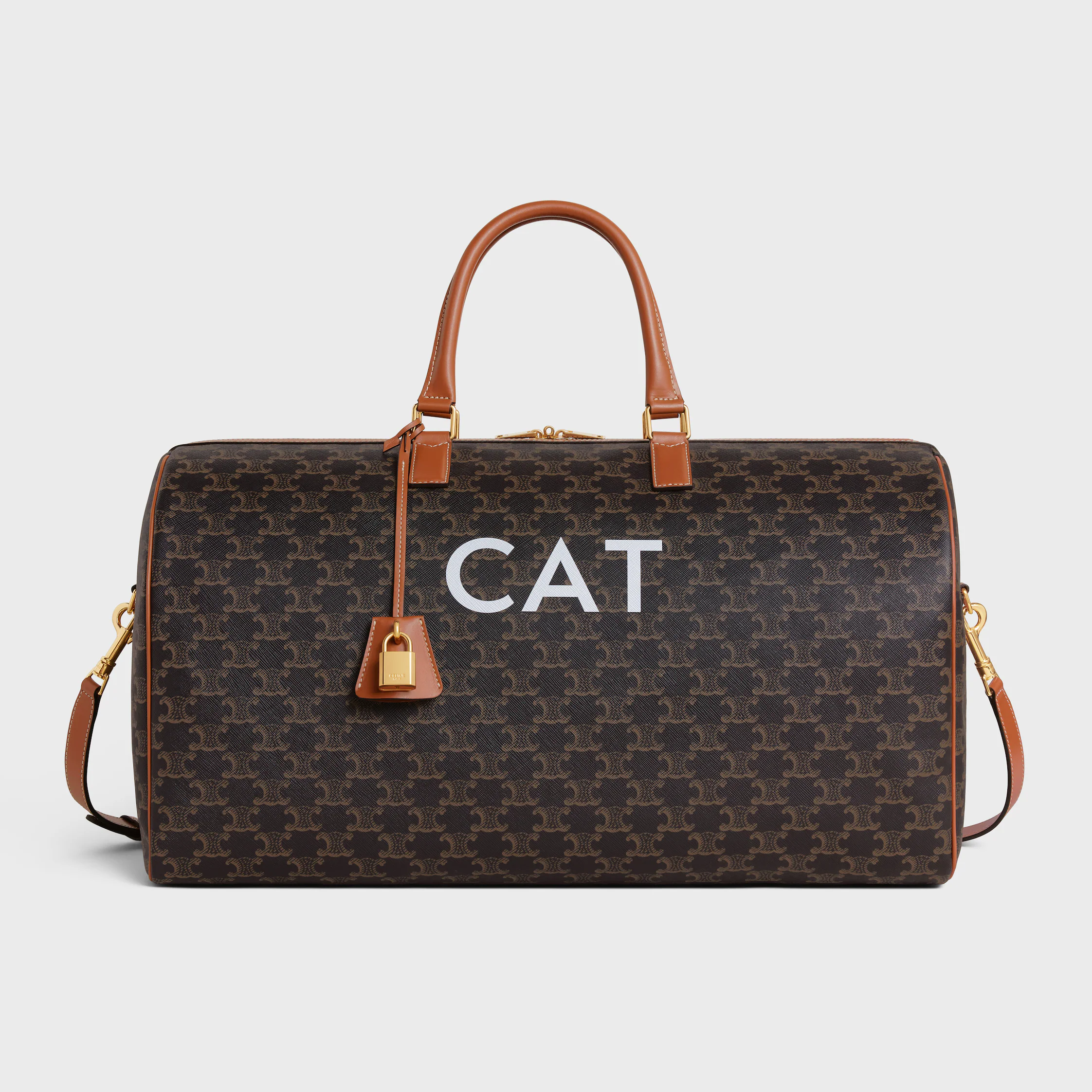 Travel 50 in Triomphe Canvas with Cat Print