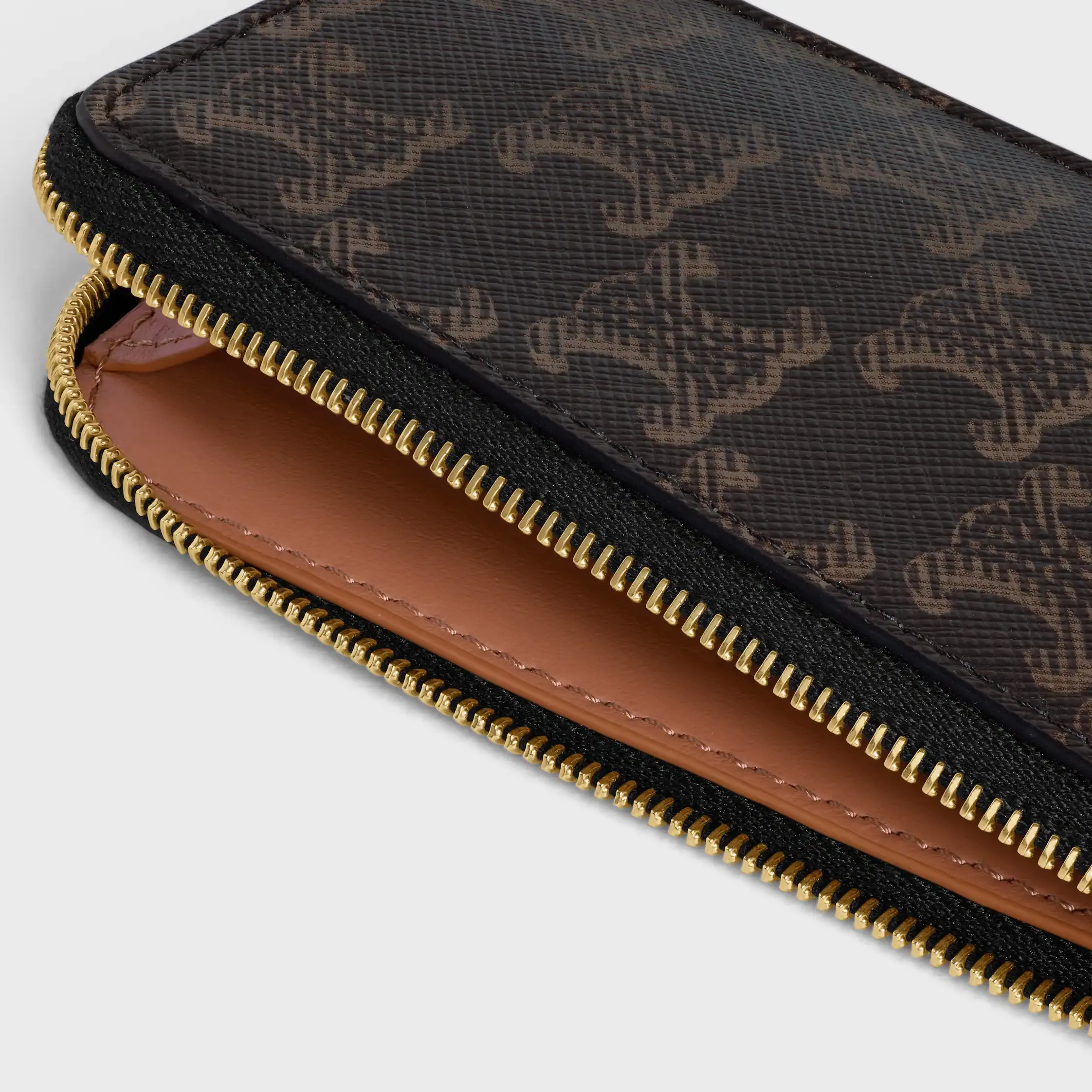 LONG ZIPPED CARD HOLDER IN Triomphe Canvas and Calfskin
