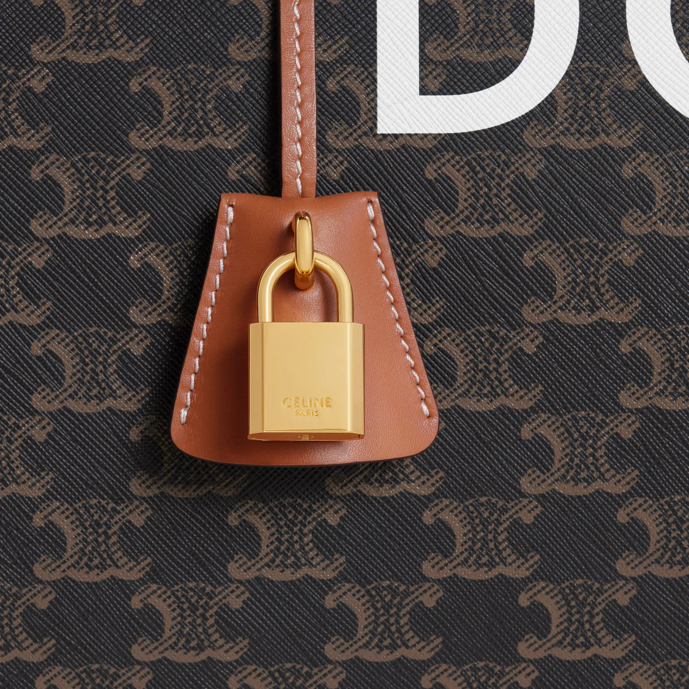 Travel 50 in Triomphe Canvas with Dog Print