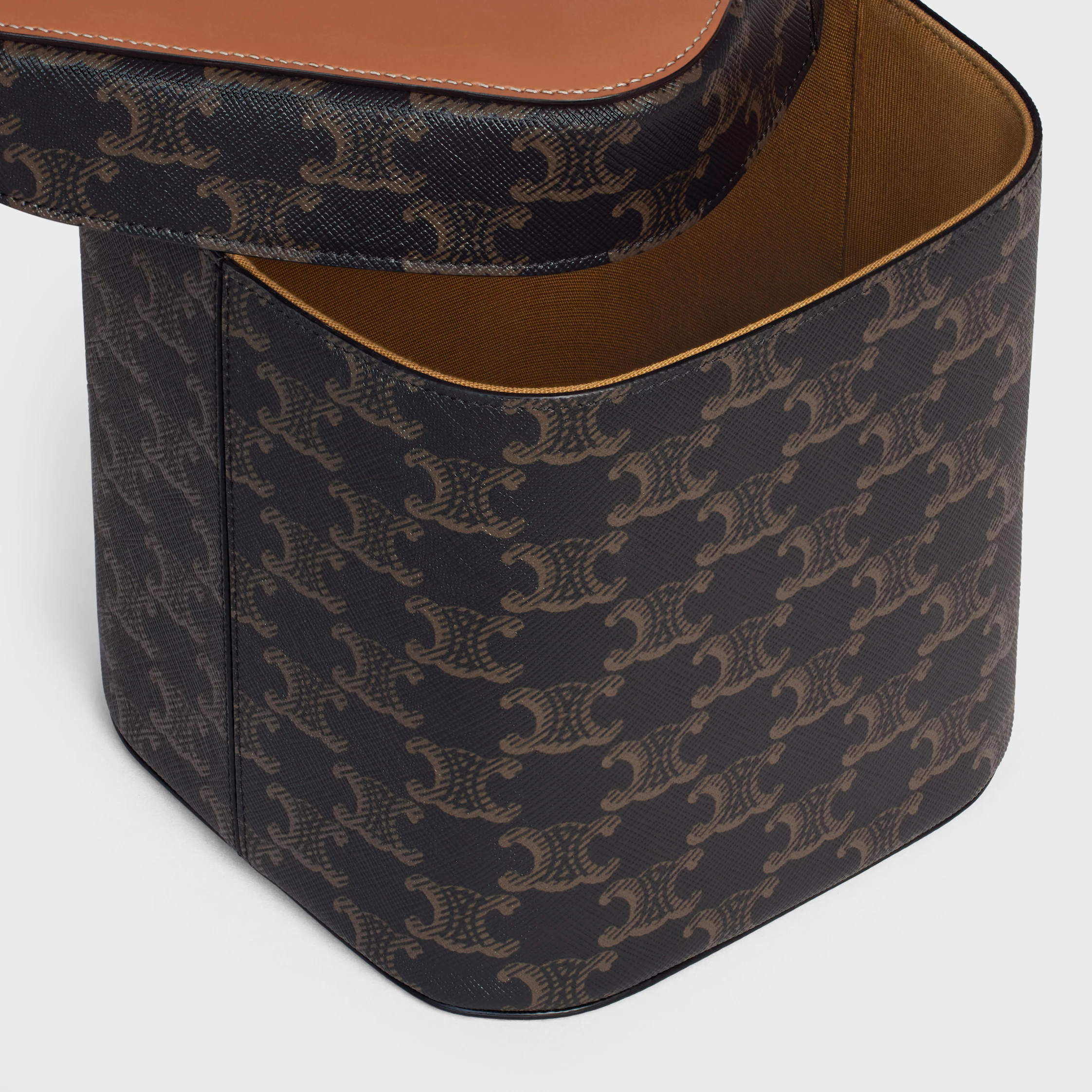 Large Box in Triomphe Canvas and Calfskin