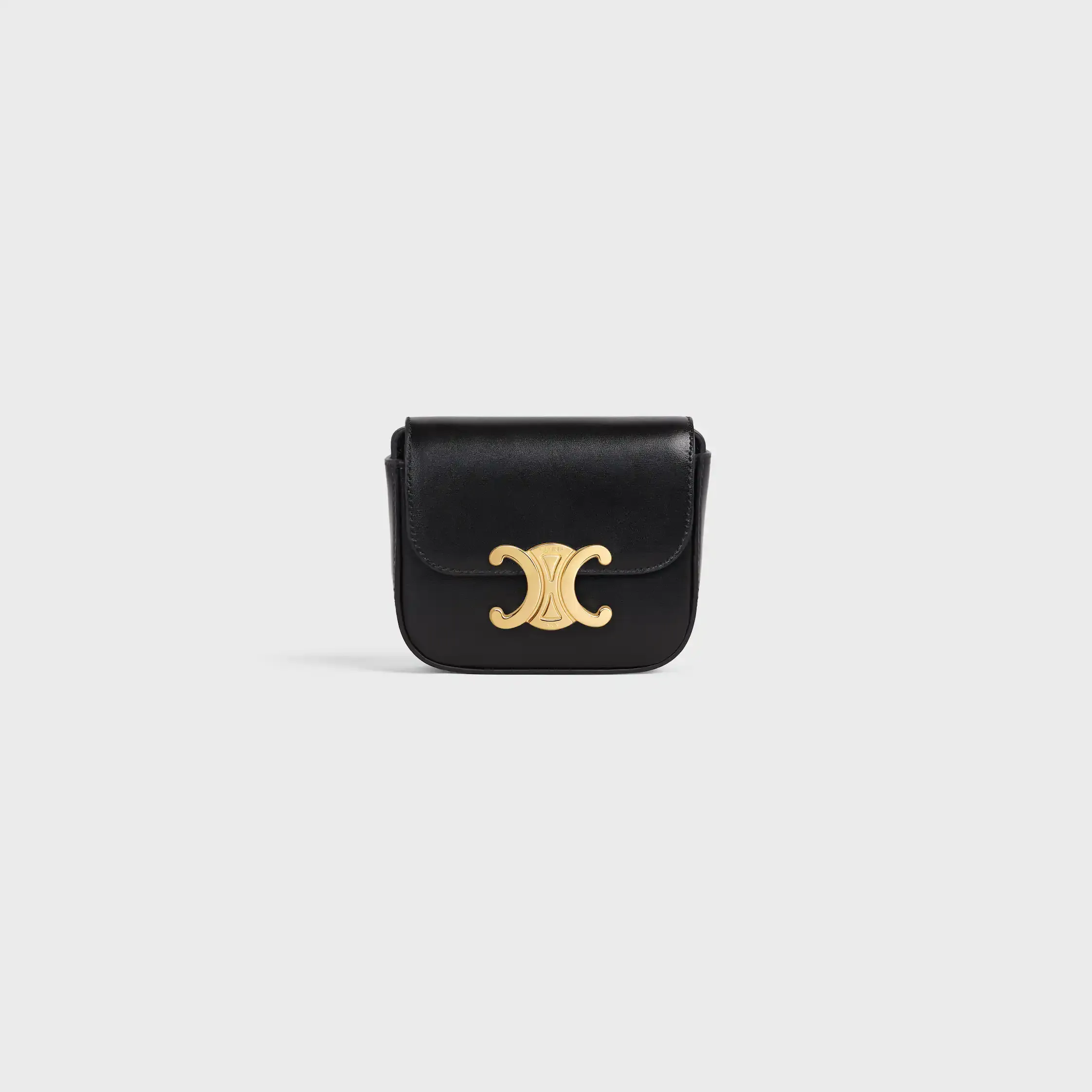 MINI CLAUDE IN Shiny calfskin