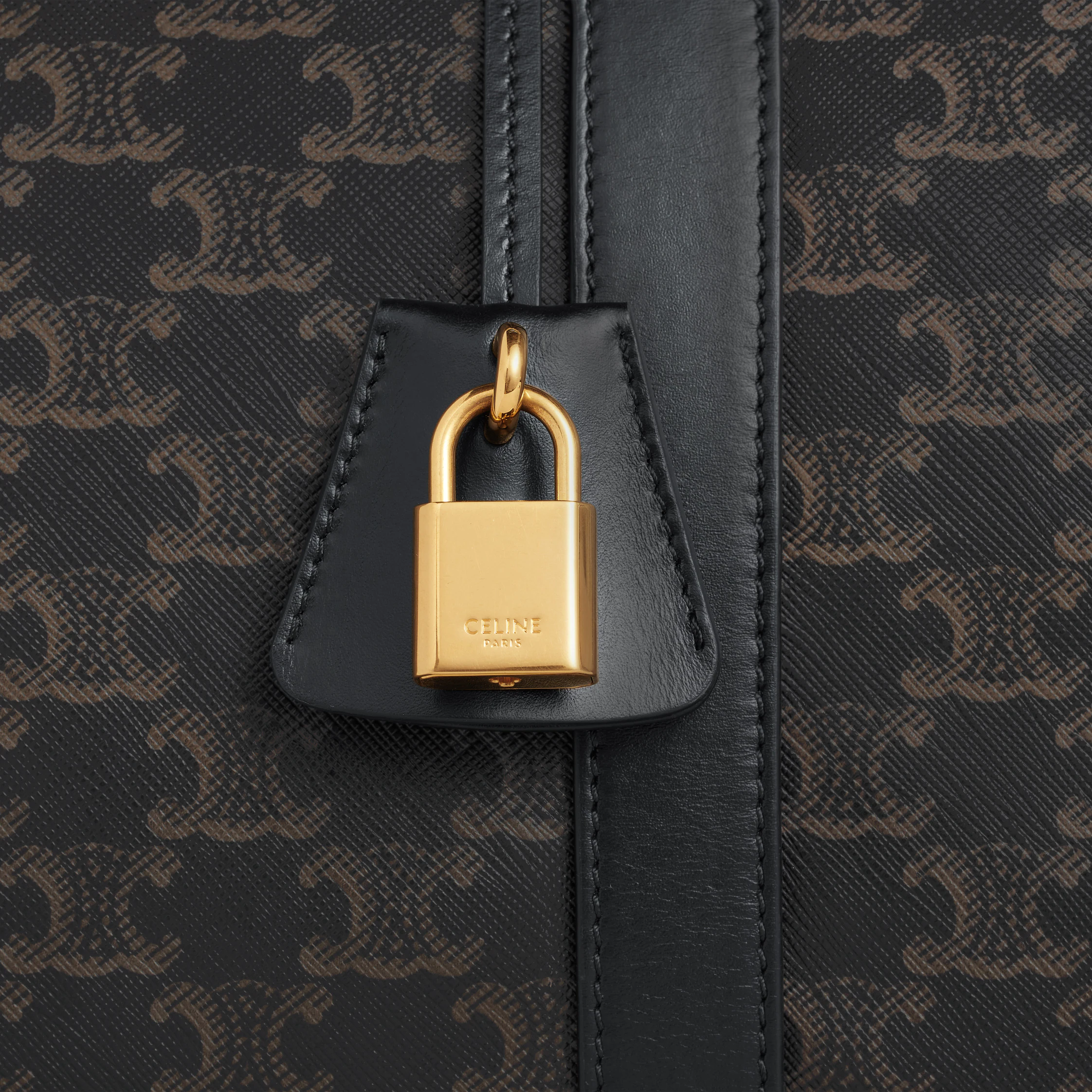 Travel Bag IN Triomphe Canvas AND calfskin