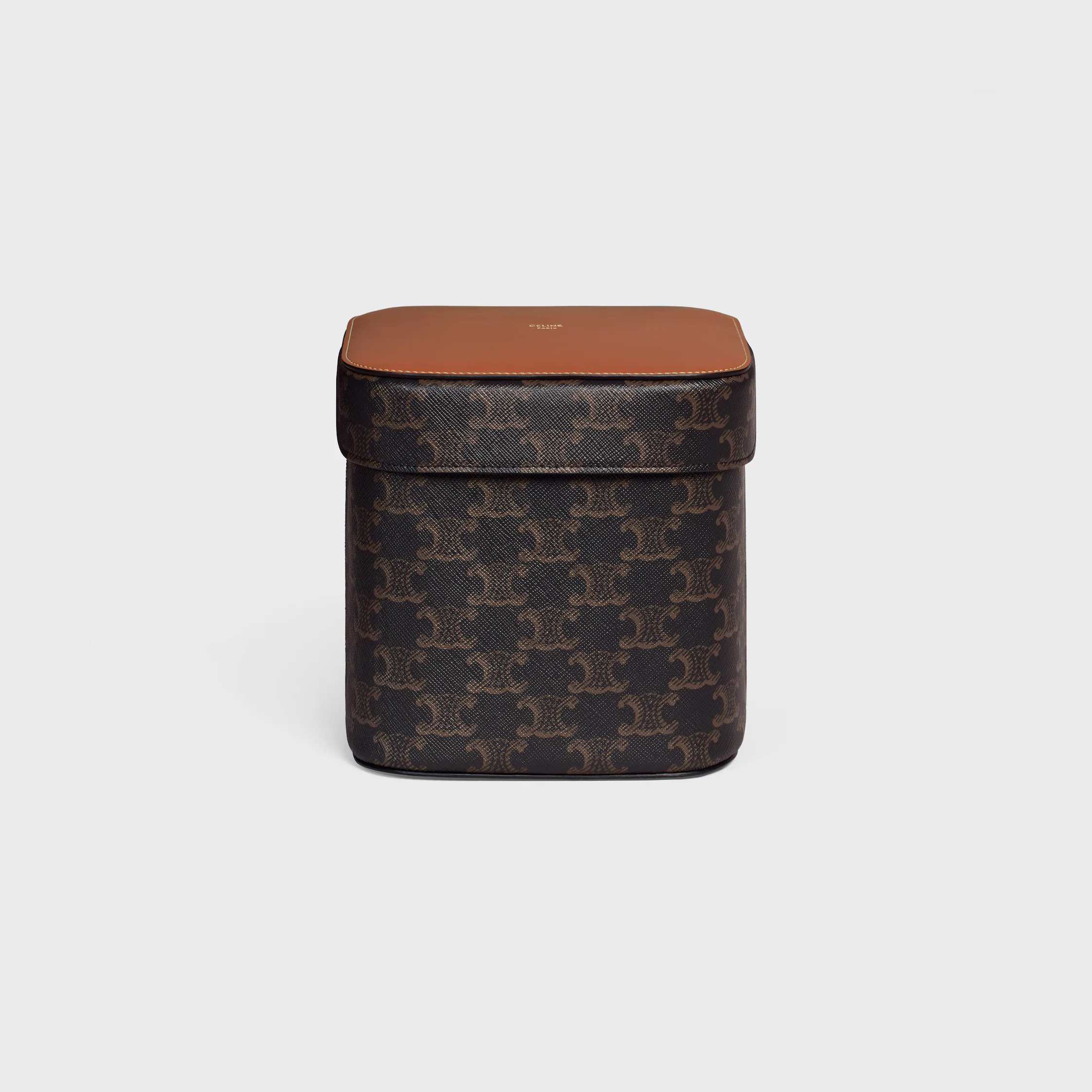 Large Box in Triomphe Canvas and Calfskin