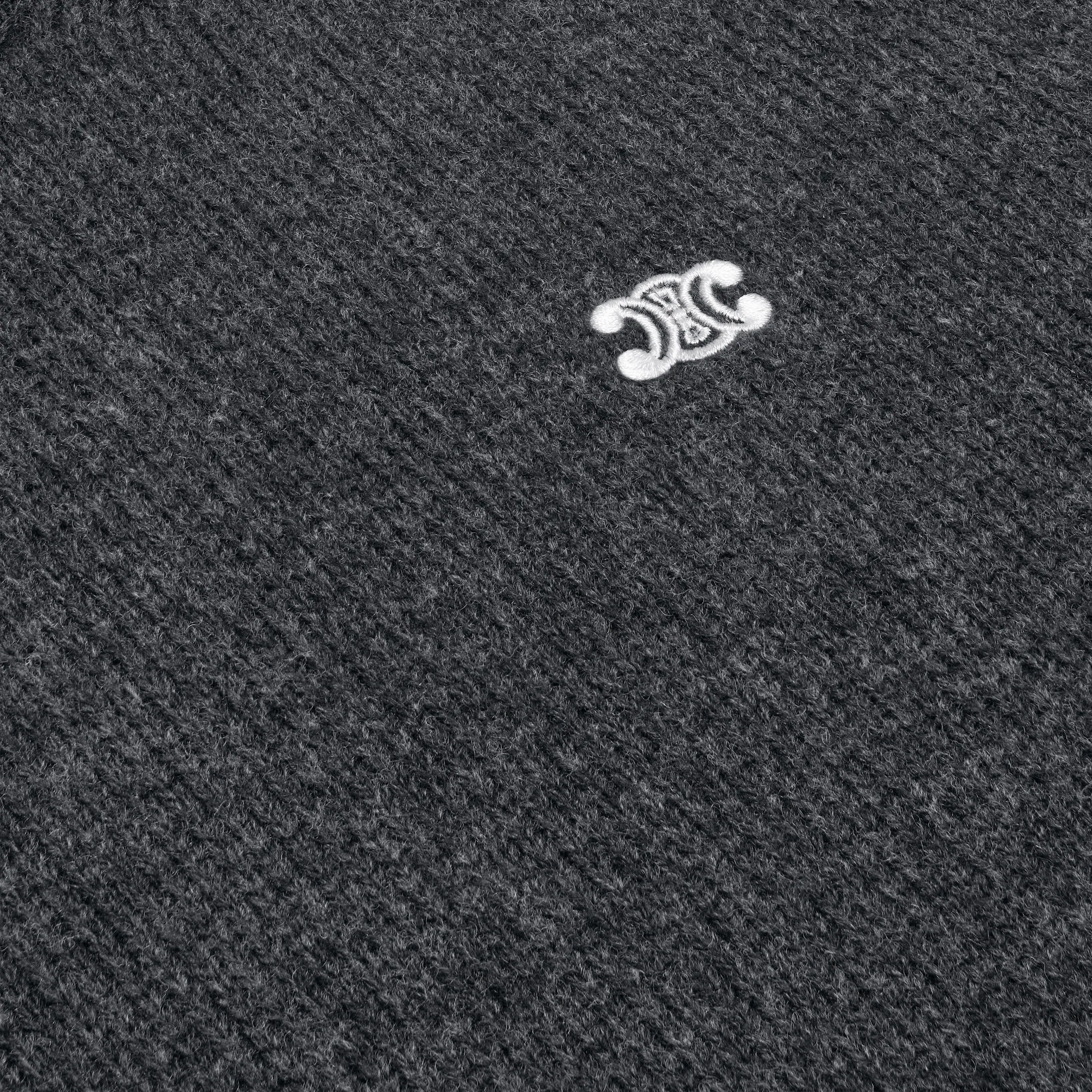 triomphe crew neck sweater in wool and cashmere