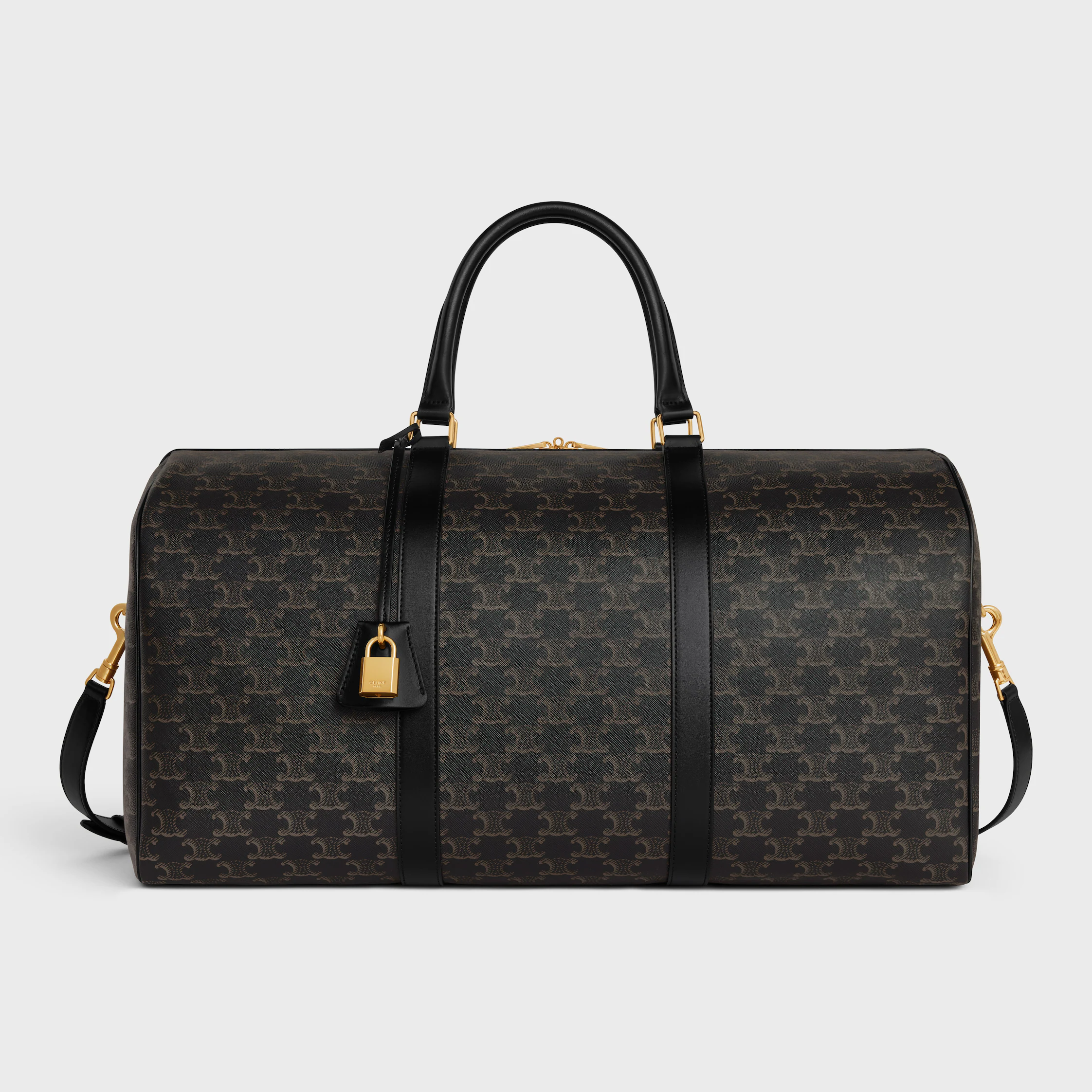 Big Travel Bag IN Triomphe Canvas AND calfskin