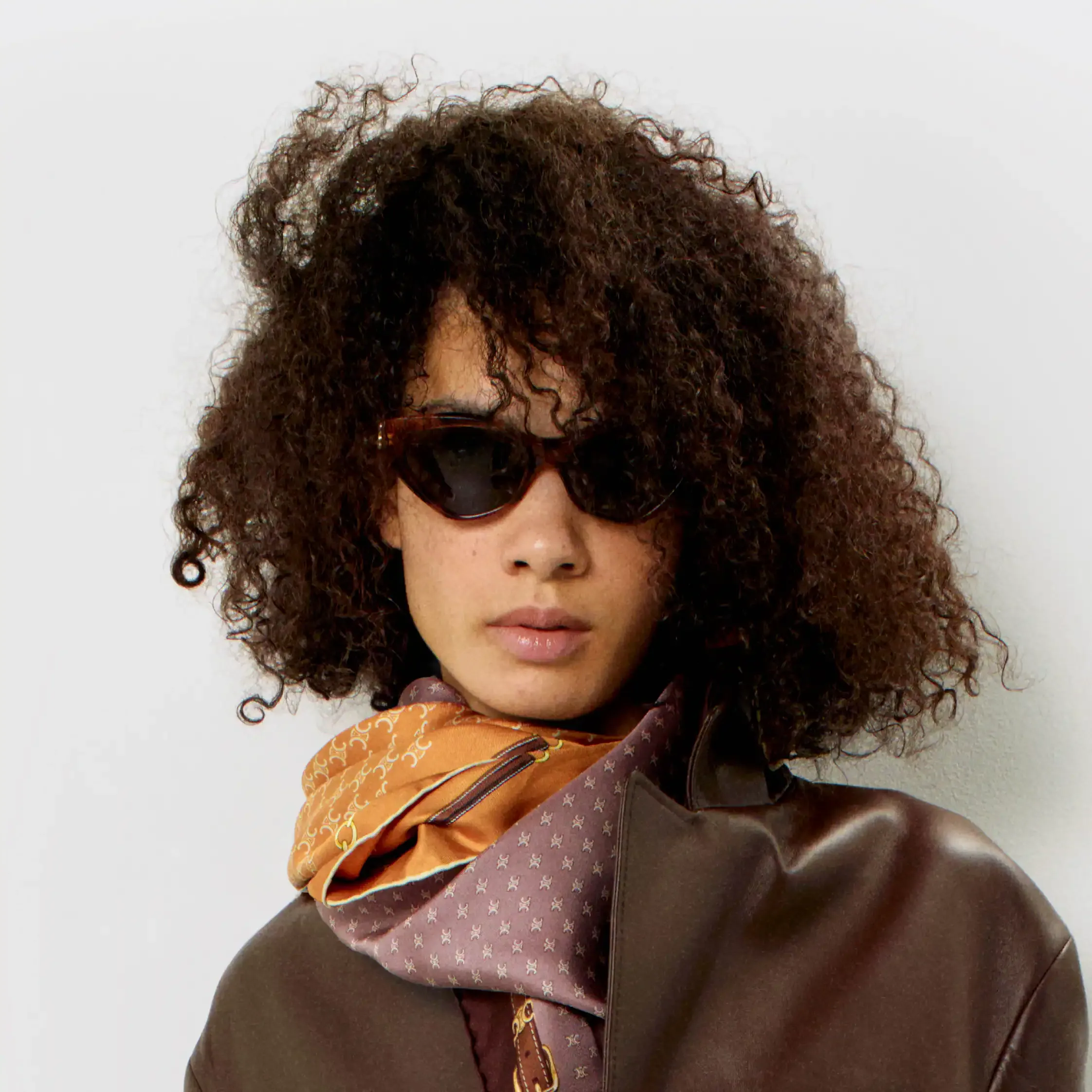 Triomphe 17 sunglasses in Acetate