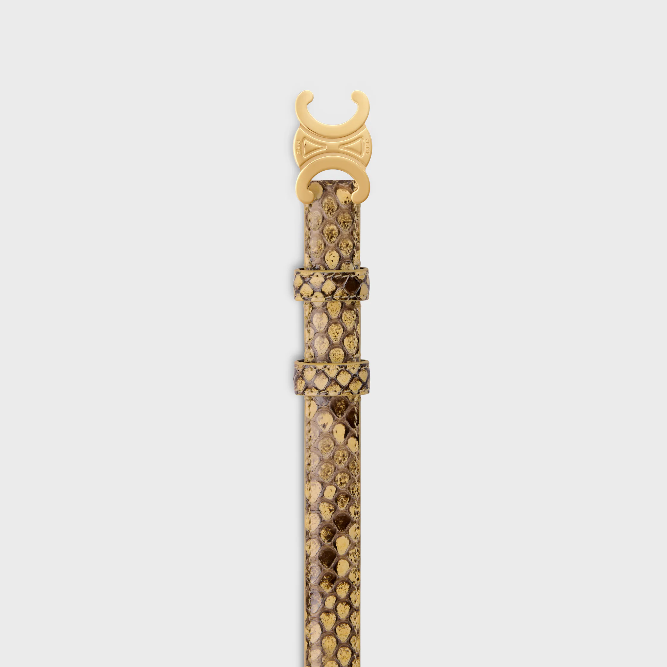 Triomphe Belt 18MM IN PYTHON