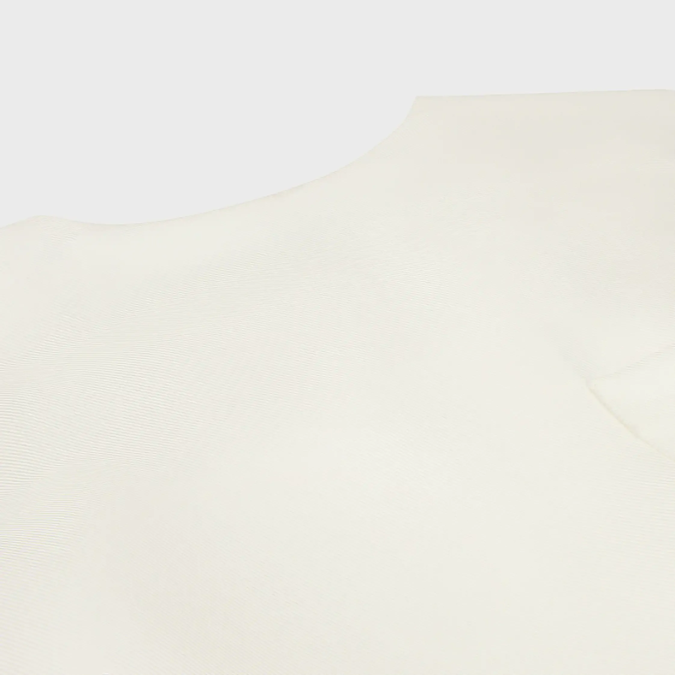 dress IN silk organza