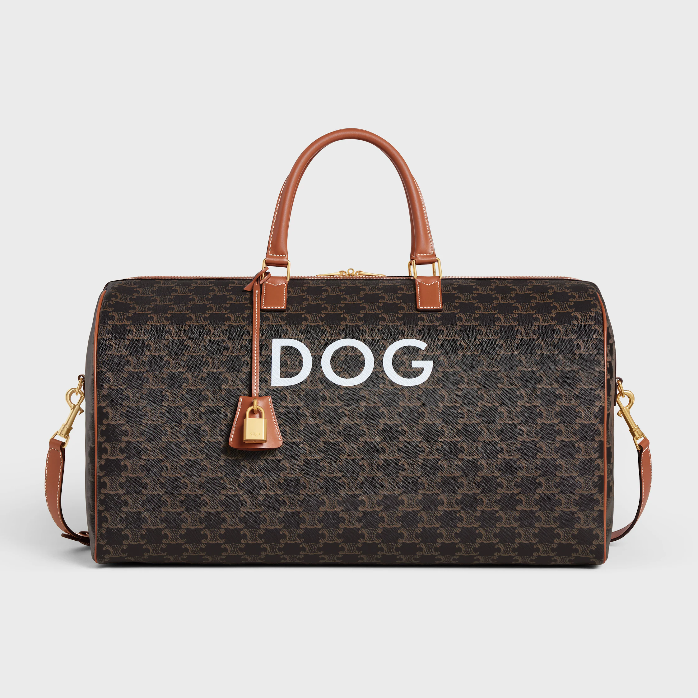 Travel 50 in Triomphe Canvas with Dog Print