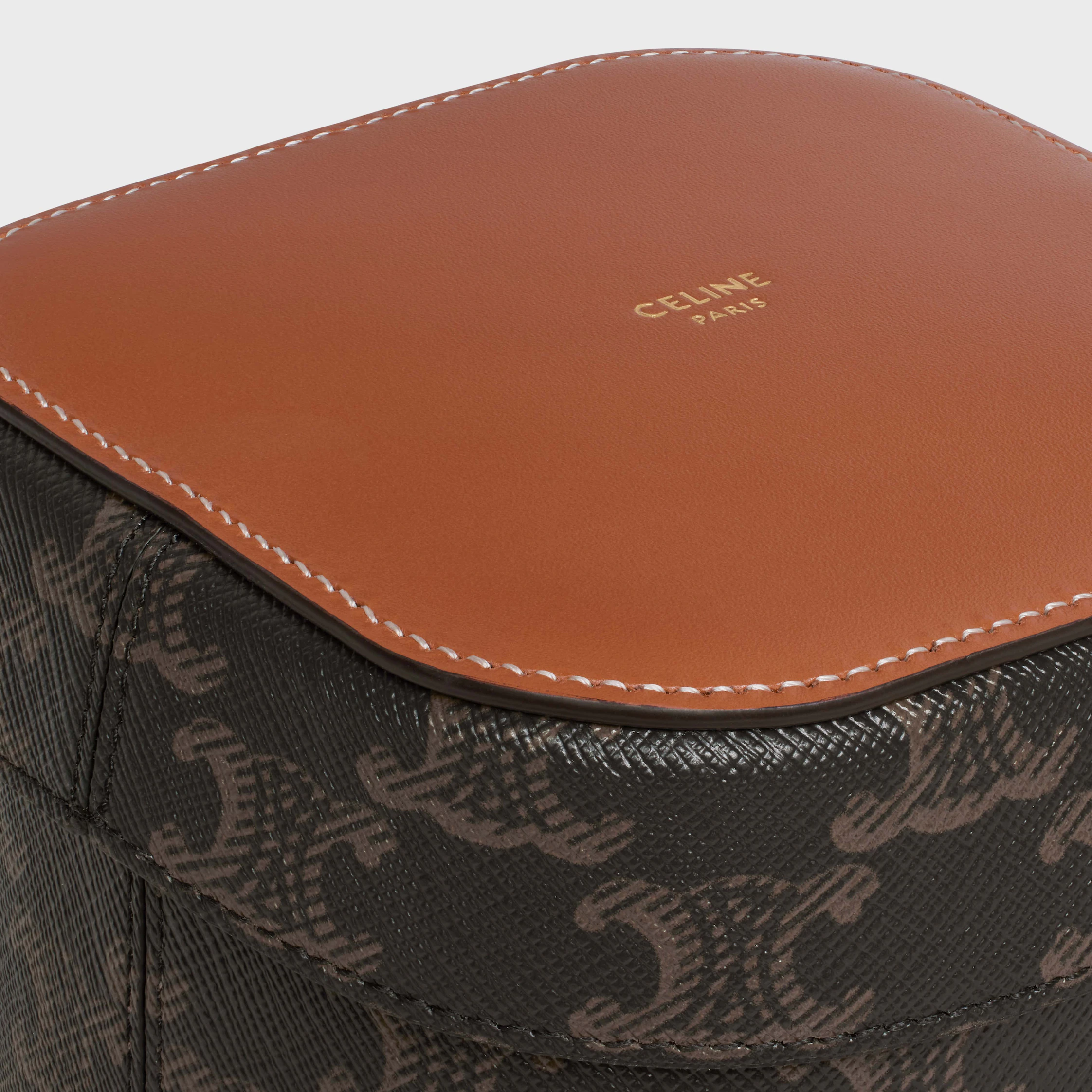 Small Box in Triomphe Canvas and Calfskin