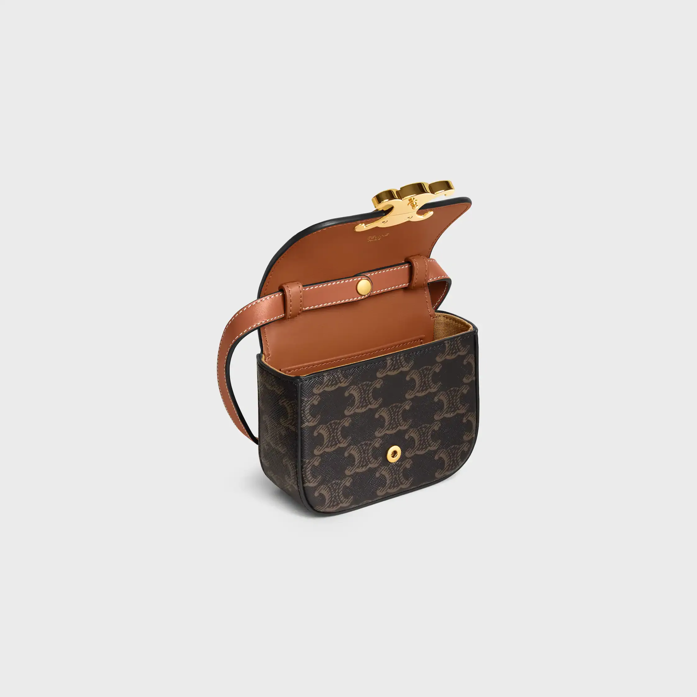 MINI CLAUDE IN TRIOMPHE CANVAS and calfskin