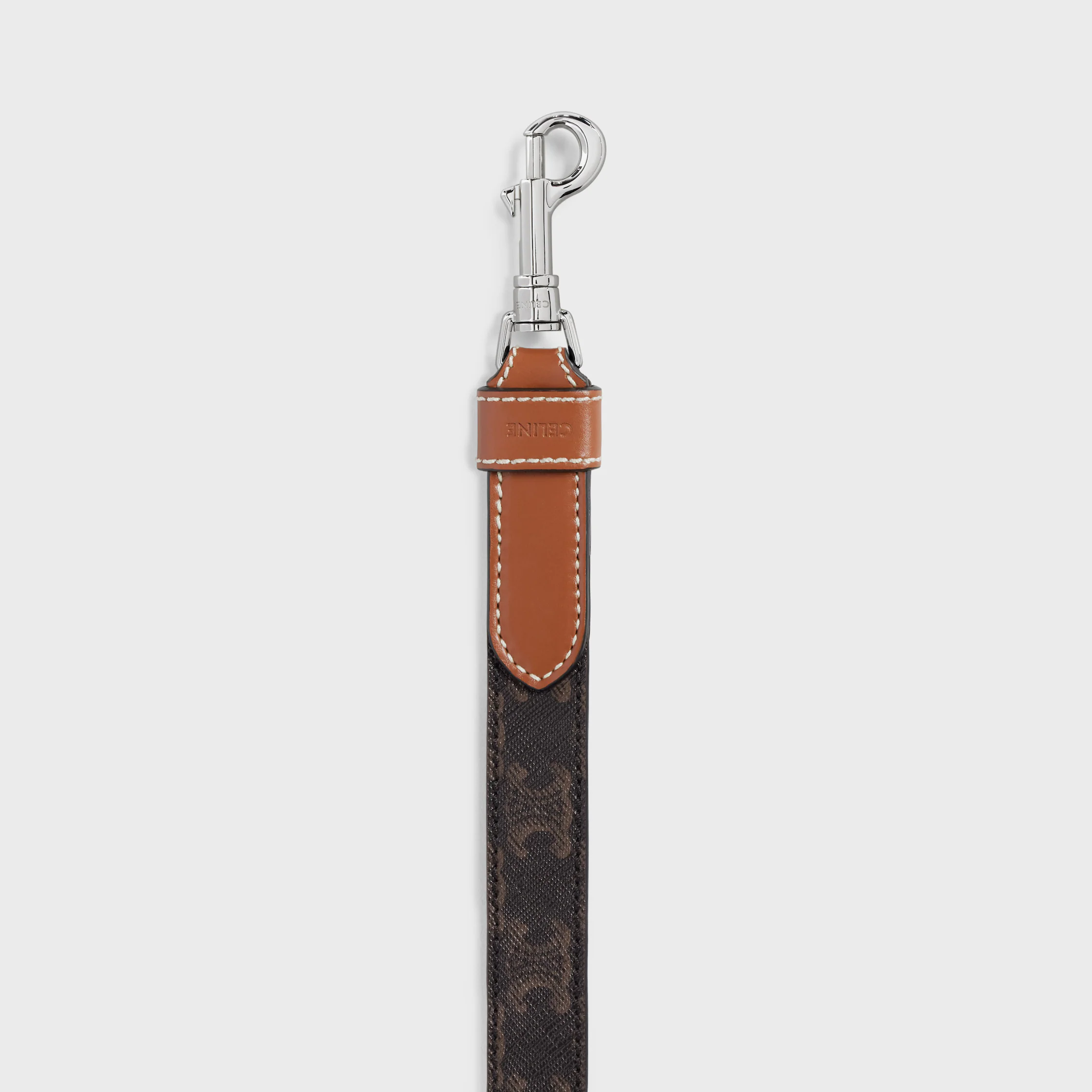 Wide Dog Leash in Triomphe Canvas and Calfskin